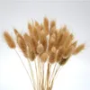 الزهور الزخرفية 50pcs ديكور باقة القمح المجففة القمح الحقيقي لحفل الزفاف ديكور غرفة المعيشة الحرف الطبيعية