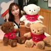 45 cm Pullover Teddybär Plüschpuppen Kleine Bärenstoffpuppe Plüschtier Valentinstagsgeschenk Geburtstagsgeschenk