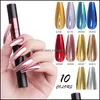 Nail Glitter Nail Coussin Magique Poudre Stylo Miroir Craie Cusion Solide Local Tyrant Or Aurora Air Art 6pcs Drop Livraison 2022 Santé Dhboi