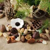 Dekorativa blommor naturliga torkade frukter retro textur pinecone ekorn jul hem dekor girland ingredienser dagis handgjorda handgjorda