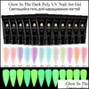 Gel de unha 15ml Luminoso Luminous UV Gel Glow Art Art Poliship Dip Fosfors acrílico em pó para escultura Extensão Pigmment Ponto Ferramentas 12pc dh1ca