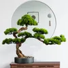 Decoratieve beeldjes Woonkamer Solid Wood Simulation Gast Welkom Pine El Desktop Porch Groene planten Fake Bonsai Interieur Decoratie