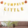 Decorative Flowers Banner Bunting Thanksgiving Decor Garland Fall Party Hanging Harvest Autumn Letter Flag Glitter Garden Pumkin Decoration