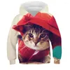 Hoodies masculinos 2022 - suéter impresso 3D Top Girlie Hoodie Lengan Panjang Hewan Pullover Koleksi Kucing