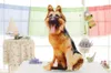 Kussen 3d schattige hondenschaduw creatief thuis bank kantoor dutje wasbare autostoel sgrow dierenspeelgoed