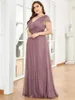 Plus Size Special Occasion Dresses Fat V-Neck A-line Evening Party Dress EP04