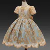 Yeni Kız Elbise Zarif Yıl Prenses Çocuk Parti Elbiseler Gelinlik Çocuk Kız Doğum Günü Partydress için Giysi Vestido Giymek