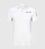 F1 Racing Polo Shirt Drużyna mundury seria fanów samochodów wyścigowy kombinezon wyścigowy krótki rękawocze