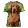 Camiseta de perro salchicha 3D para hombre, camisetas de gran tamaño para mujer, ropa bonita, moda de verano corta para hombre