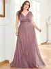 Plus Size Special Occasion Dresses Fat V-Neck A-line Evening Party Dress EP04