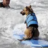 犬アパレル子犬レスキュー水泳服夏屋外フローティングトイライフジャケットベスト2022ファッションライフセーバーコート