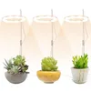 Rosną światła LED Lampka ogrodowa Trwałe sukulenty Rośliny Wzrost Oświetlenie USB Phytolamp Indoor for Flowers