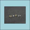 Hengstil Ohrringe Schmuck Mode Starfish Zink Legierung Sier plattiert Ohrring Marine Biological f￼r Frauen Gro￟handel Drop Lieferung 2021 OTHVJ