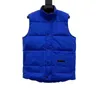 Mens Designer Down Vest Jackor Parka Letter Printing Men's Parkas Winter Clothing Coat Veste Luxe Letters Tryckt m￤n Jackor Kl￤der Gilet Dhgate