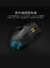 Möss Roccat Leadr Dual Mode Gaming Mouse Computer Notebook Rechargeble Programmering Macro 2211039256727