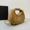 Christmas Designer Shearling Bianca Mini Hobo Bags 2022 Winter Cashmere Shoulder Bags Gold Tone Metal Handle Chain Half Moon Handbags Lamb Wool Purse Leather Pad Bag
