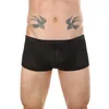 Underpants seksowne męskie bokserki szorty o niskiej talii penisowa bieliznę Męsą Ice Silk Briefs Męskie majtki mężczyźni