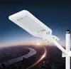 LED Street Light AC 110V 220V 100W IP65 Vattentät superljus strålkastare för trädgårdsvägens gårdsljus