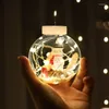 Strings 220V EU Plug Christmas Wish Balls Festoon LED Window Curtain String Light Wedding Party Home Garden Bedroom Outdoor Decoration