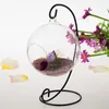 Kaarsenhouders Creatieve kandelaar Stand Home Decoratie Iron Metal Lantern Hanging Glass Globe Ornament Holder