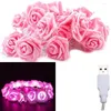 Strängar 19.6ft 40LEDS ROSE Flower String Lights USB LED Fairy för sovrum rosa romantiskt bröllop Valentine White Warm