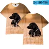 Herren T-Shirts 2022 Modedruck Schöner Hund Hip Hop Oansatz 3D T-Shirts Frauen Männer Sommer Kurzarm T-Shirts Mädchen Casual Niedliches Tier