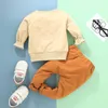 Conjuntos de ropa 0-12m Baby Baby Boys Juego de ropa de dibujos animados Lion estampado de manga larga Pantalones de color sólido 2 piezas de otoño