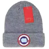 Beanie/Skull Caps Designer Sticked Hat Ins Popular Canada Winter Hats Classic Letter Goose Print stickat