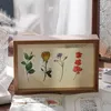 Hediye sargısı DEY dekoratif süs çiçek bitki serisi çıkartmalar kırtasiye çıkartma harfli kağıt etiket scrapbooking sopa