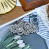 Brosches Vintage Crystal Pins Decoration Accessories Art Deco smycken f￶r kvinnor