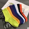 Chaussettes pour hommes Couleur contractée pour hommes Nude Hommes et femmes amoureux en coton