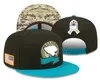 Салют сервису Кепки Snapback Футбольная кепка Кепки команд Кепки Snapback Регулируемый микс Заказ матча Все магазины Team Kingcaps модная одежда dhgate бег ходьба