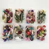 Dekorativa blommor Torkade blomma 1Box Muliticolor bevarade slumpm￤ssig f￤rg Multicolor f￶r klippb￶cker