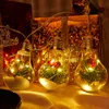 Fashion 4-Meter LED Lights String Christmas Tree Pine Needles Red Fruit Light Room Decorative Battery Factory Direct Sales Home Festive Supplies