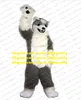 Grå lång päls vargmaskot kostym husky hund fursuit vuxen tecknad karaktär outfit förskoleutbildning friidrott möta zz8091