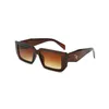 Women Sunglasses Designer Sunglasses Luxury Letter P Pit Vipers Street Fashion Design UV400 8678 PC Man Sunglass