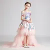 Robes de fille de fleur colorée pour mariage en tulle appliquée princesse filles concours de robe jupe à plusieurs reprises