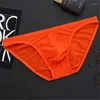 Unterhosen 4 Teile/paket Männer Sexy Unterwäsche Nahtlose Slips Männliche Nylon Komfort Höschen Bikinis Mit Low Rise Elastische Tangas Für Homosexuelle