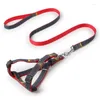 Hundhalsar Cowboy Collar and Tow Rope Harnesses leder koppel Set Things For Dogs Harness No Pull Small Rases Supplies Big Chest