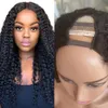 Peruaans haar kinky krullende u onderdeelpruik voor zwarte vrouwen remy Human Hair Pruiken 150% Glueless