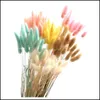 Couronnes de fleurs décoratives 10 pièces/lot Pampas naturelles fleurs séchées queue de lapin bouquet d'herbe 40 cm Floral Lagurus Ovatus mariage maison Dhijw