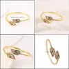 Bracciale rigido di lusso in oro riempito arcobaleno Cz foglia braccialetto per gioielli da donna festa nuziale zircone cubico aperto femminile regalo braccialetto goccia D Dhqsv