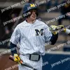 James Baseball Jerseys Michigan Jersey Harrison Salter Blake Beers Steven Hajjar Jacob Denner Isaiah Paige Benjamin Keizer Cameron Weston Angelo Smith