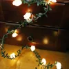 Cordes Rose Fleur Vigne Guirlande LED Lumières Décoration Feuille Verte Guirlande Batterie/USB/Solaire Alimenté 3m 5m 10m Fée Blanc Chaud