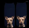 Femmes Chaussettes Drôle Femelle Dessin Animé Chiot Conception Motif 3D Impression Numérique Bas Cheville Chaussette Mignon Chiens Sox Fille Cadeau Animal Art Coton