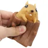 Evil Squirrel Cup Fidget Toy Squishy Stump Funny Squeeze Toys Stress Relief Decompression Toys Anxiety Reliever