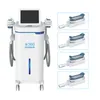2023 Vertical Double Chin Reduce Cryolipolyse 360 Cryolipolysis Slimming Machine Cool Criolipolisis For Body Shaping Machine CE Approved