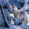 Wall Art wall Home Decor Giclee Print Snow Landscape oil painting canvas Fantasy Modern Animal Art howling of the wolves Wolf Living Ro303K