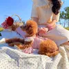 Vêtements de chien Imprimer Robe de fleur Vêtements Jupe à bretelles pour chiens Vêtements pour animaux de compagnie Mince Mignon Été Yorkies Rose Fille Ropa Para Perro