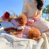 犬のアパレルプリントフラワードレス服犬用犬用服のスカート